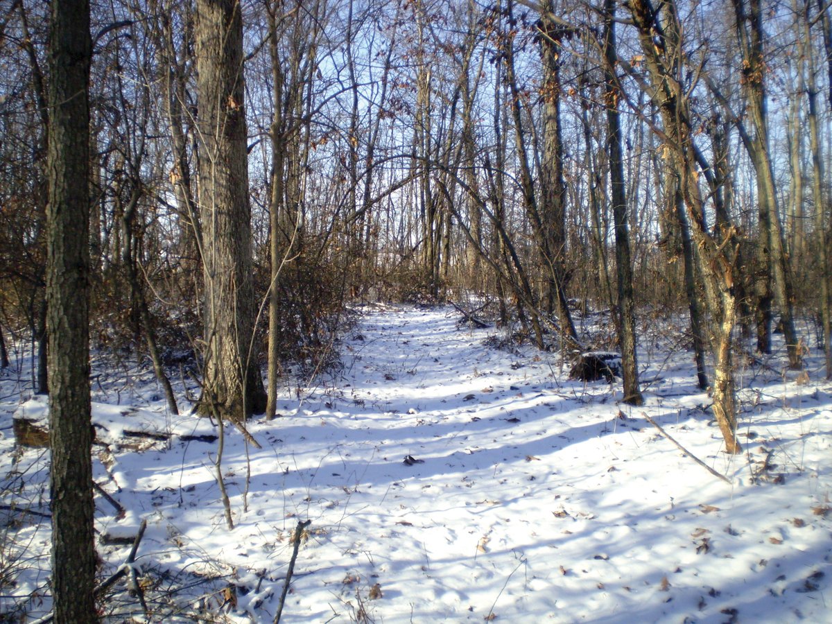 Property photo 4 - 76 Acres Offered in 4 Tracts